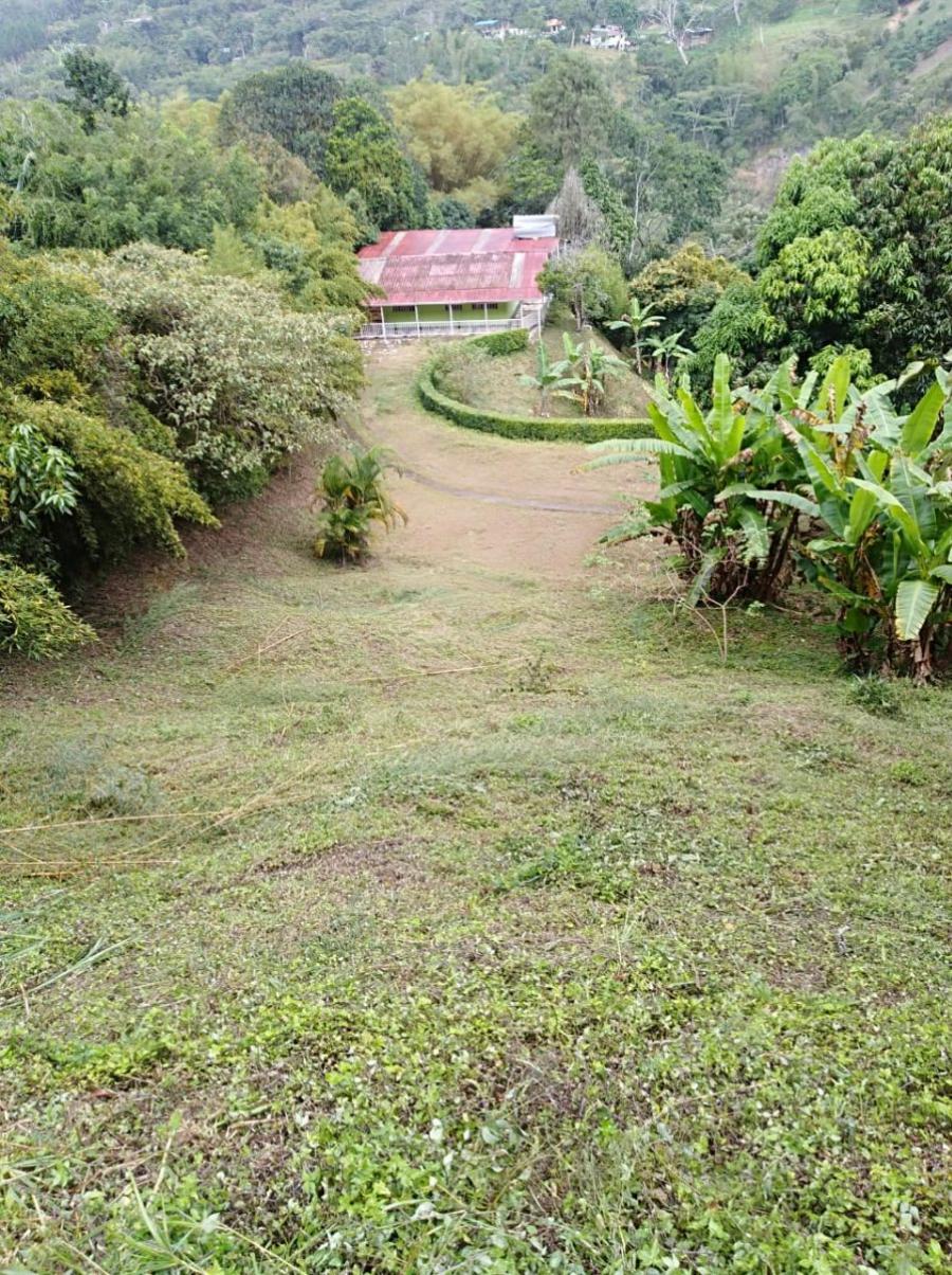 VENDO  LINDA  FINCA LA VEGA