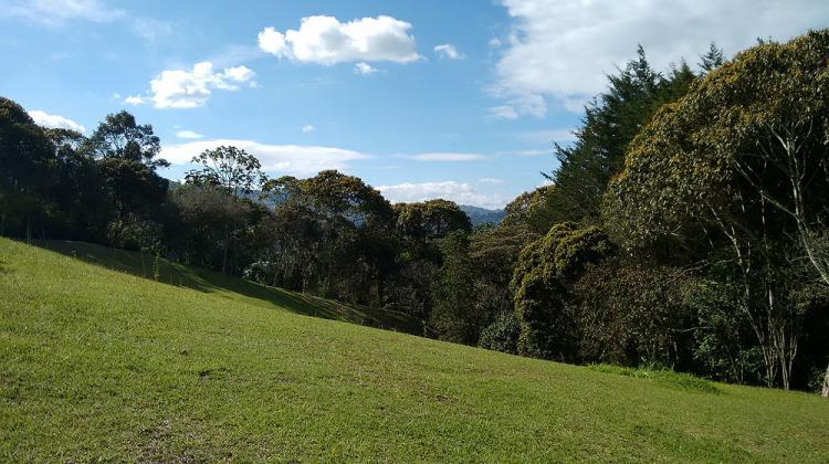 Foto Lote en Venta en Rionegro, Antioquia - 6 hectareas - $ 4.000.000.000 - LOV100518 - BienesOnLine