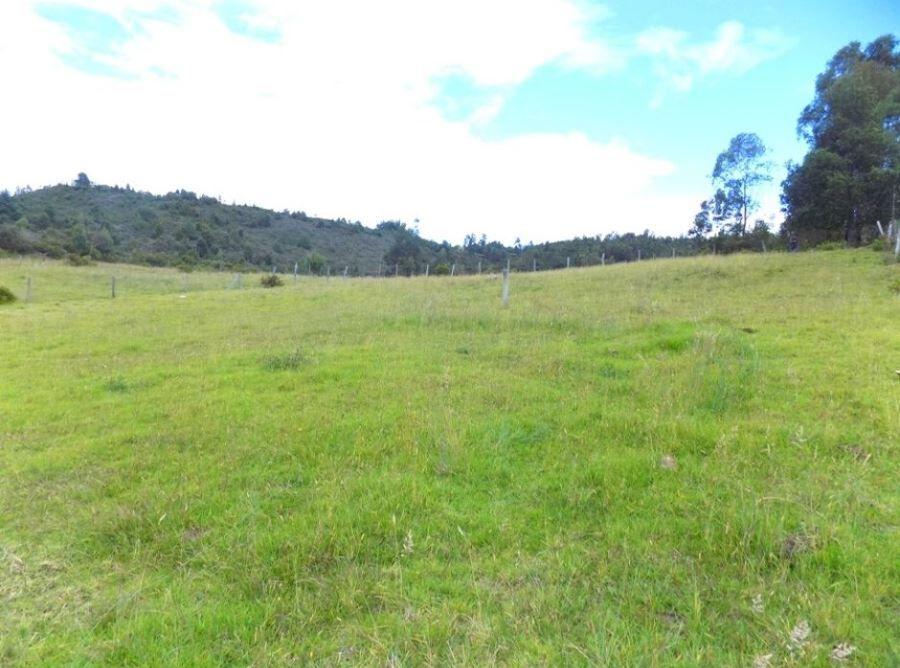 VENDO LOTE RURAL 12000M2 EN PAIPA