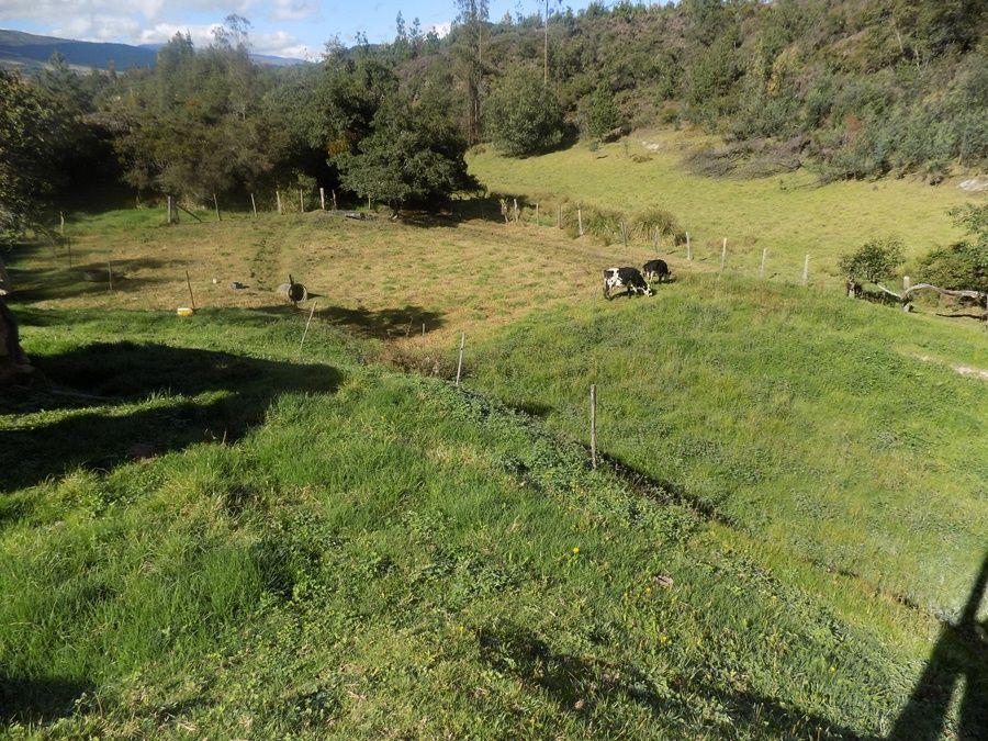 VENDO FINCA 4 FANEGADAS EN PAIPA