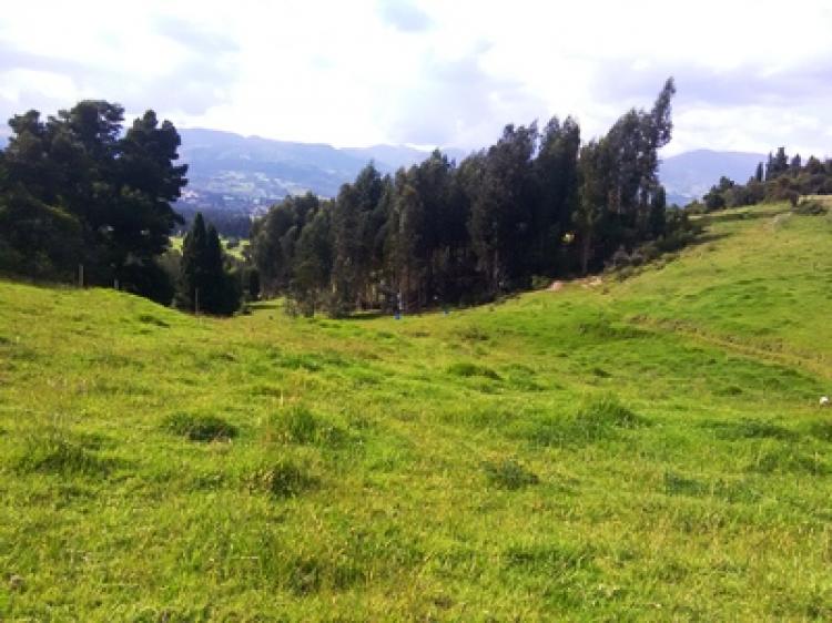 Foto Finca en Venta en Paipa, Boyacá - $ 400.000.000 - FIV153573 - BienesOnLine