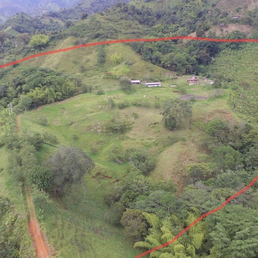 Foto Finca en Venta en El socorro, Caldas - $ 720.000.000 - FIV197473 - BienesOnLine
