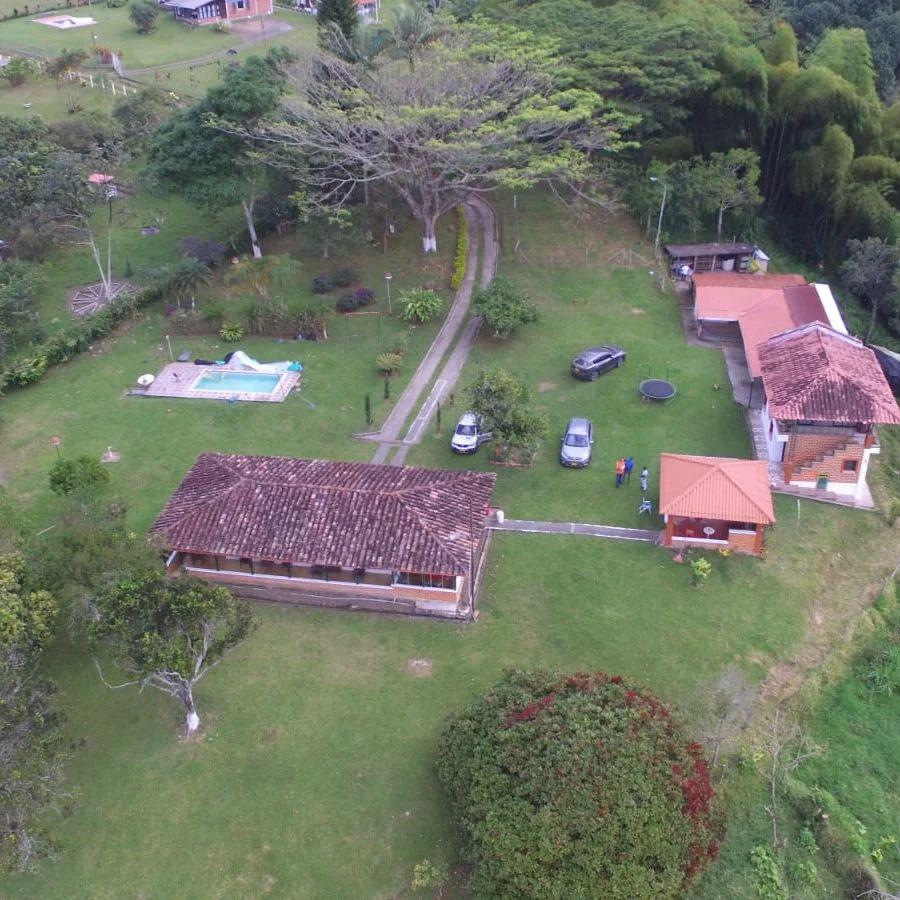 Foto Finca en Venta en Arabia, Risaralda - $ 650.000.000 - FIV199499 - BienesOnLine