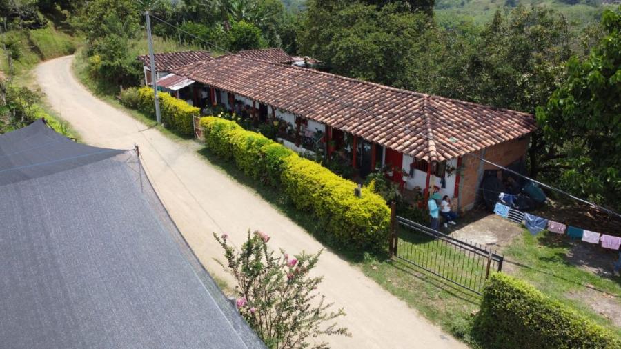 Vendo finca de 4 cuadras en vereda el paraíso en anserma caldas