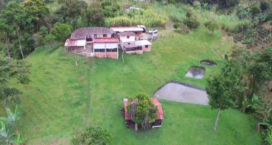 Foto Finca en Venta en Anserma, Caldas - $ 320.000.000 - FIV193346 - BienesOnLine