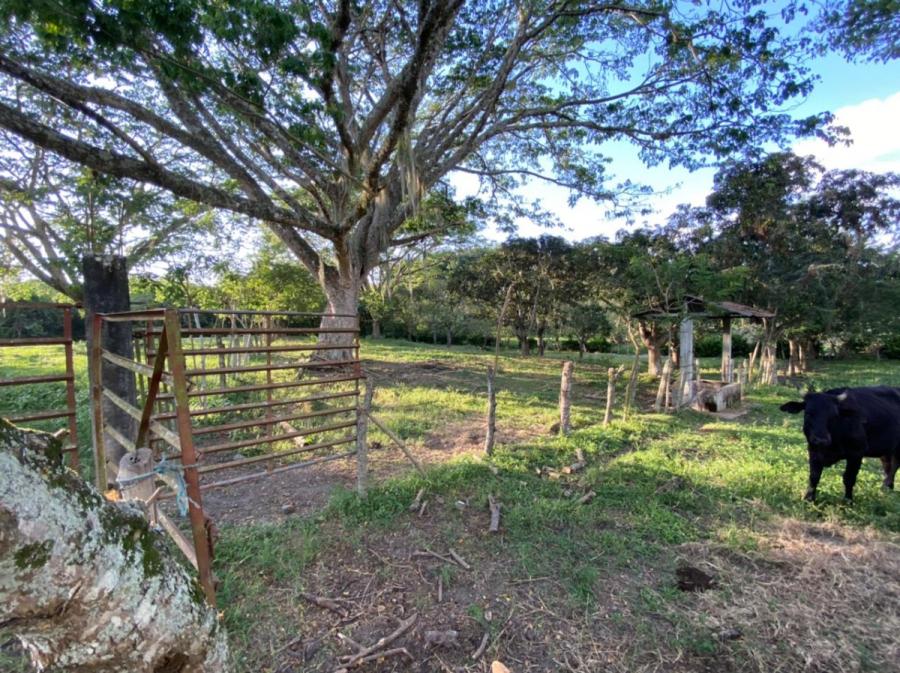 Foto Finca en Venta en Santa Ana, Cartago, Valle, Cartago, Valle del Cauca - $ 1.500.000.000 - FIV201216 - BienesOnLine