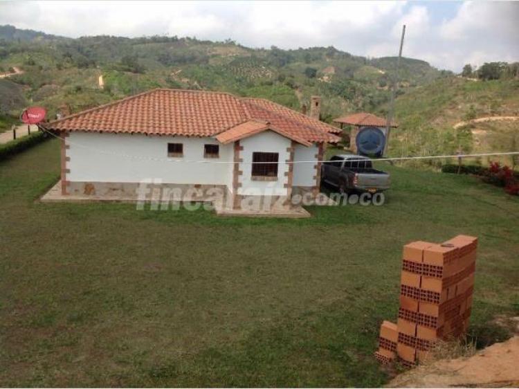 Foto Finca en Venta en LA VICTORIA, Lebrija, Santander - 8 hectareas - $ 700.000.000 - FIV103147 - BienesOnLine