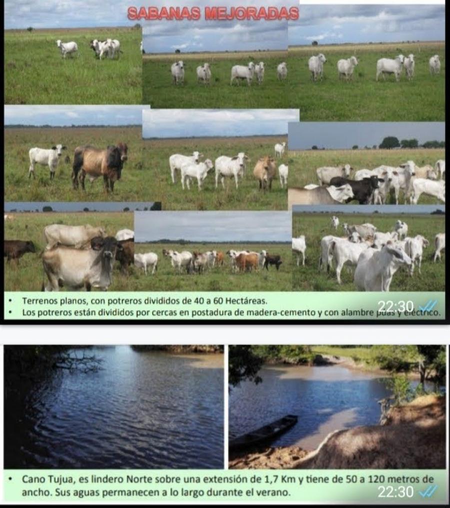 Foto Finca en Venta en La esperanza, Orocué, Casanare - $ 2.250.000.000 - FIV205648 - BienesOnLine