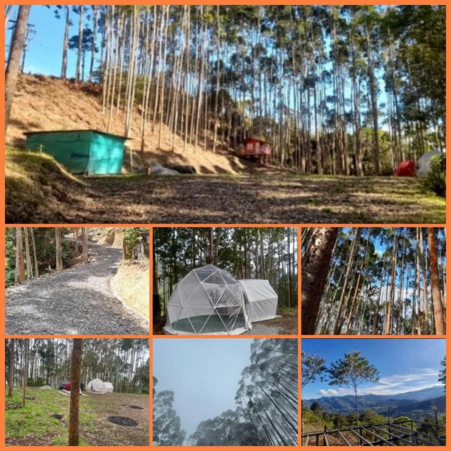 Foto Finca en Venta en HOYA GRANDE, La Vega, Cundinamarca - $ 700.000.000 - FIV199261 - BienesOnLine