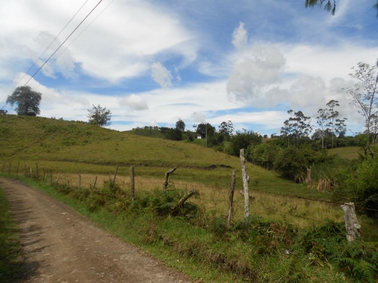 Foto Finca en Venta en Carmen de Viboral, Antioquia - FIV78843 - BienesOnLine