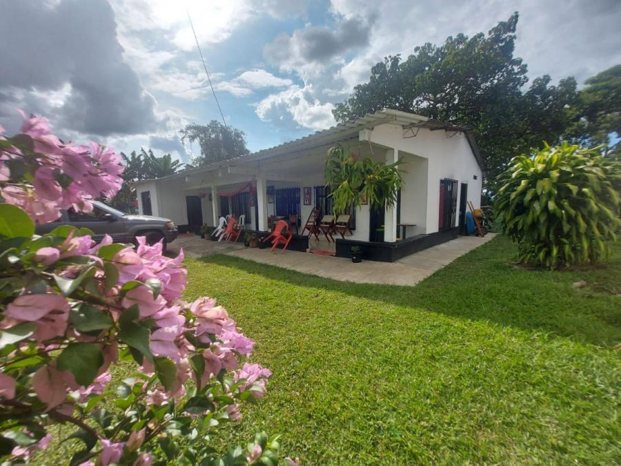 Foto Finca en Venta en Montenegro, Quindío - $ 650.000.000 - FIV200819 - BienesOnLine