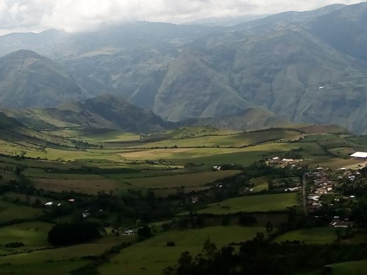 Foto Finca en Venta en vereda de yacuanquer., Yacuanquer, Nario - 5 hectareas - $ 120.000.000 - FIV151715 - BienesOnLine