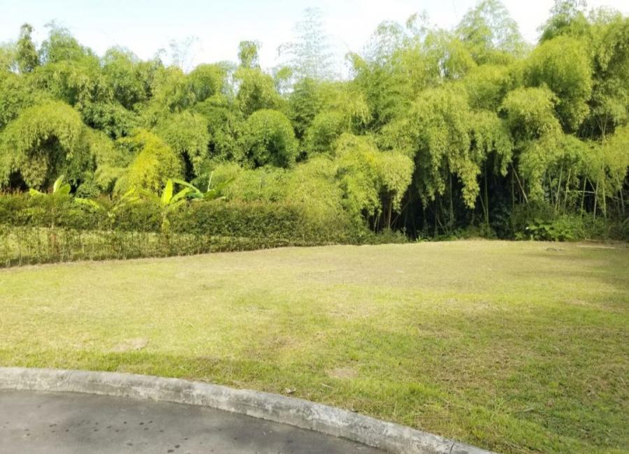 Foto Lote en Venta en El tigre, Cerritos, Risaralda - $ 480.000.000 - LOV203023 - BienesOnLine