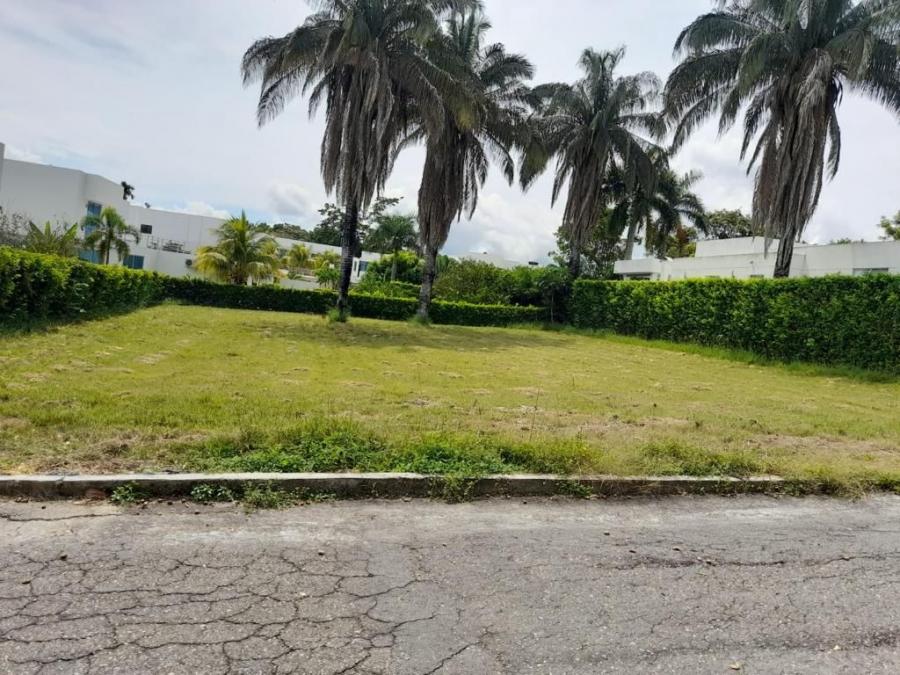 Foto Lote en Venta en CARMEN DE APICALA, Tolima - $ 150.000.000 - LOV199765 - BienesOnLine