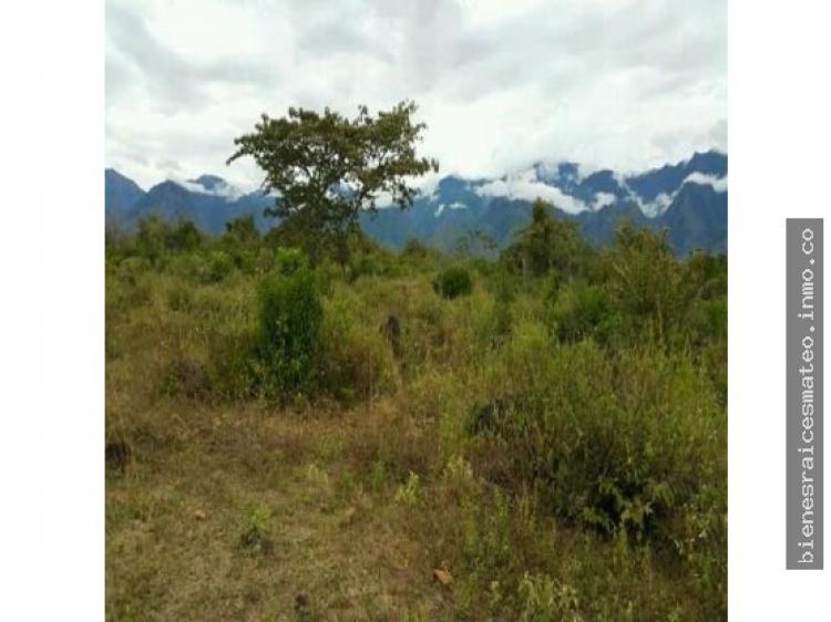 Foto Lote en Venta en SECTOR PUEBLO TAPAO, QUINDIO, Armenia, Quindío - $ 110.000.000 - LOV104625 - BienesOnLine