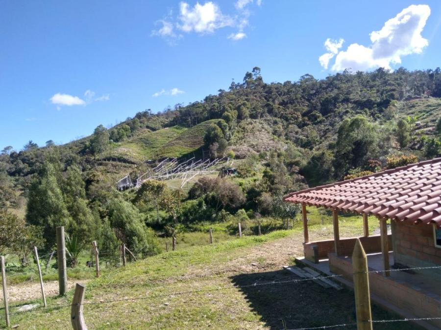 Foto Lote en Venta en GUATAPE, Medellín, Antioquia - $ 1.800.000.000 - LOV203842 - BienesOnLine
