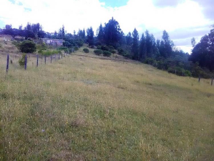 Foto Lote en Venta en Paipa, Boyacá - $ 700.000.000 - LOV152897 - BienesOnLine