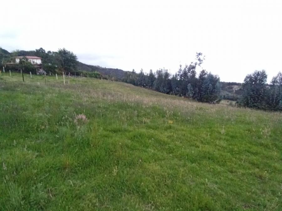 Foto Lote en Venta en Paipa, Boyacá - $ 150.000.000 - LOV194386 - BienesOnLine