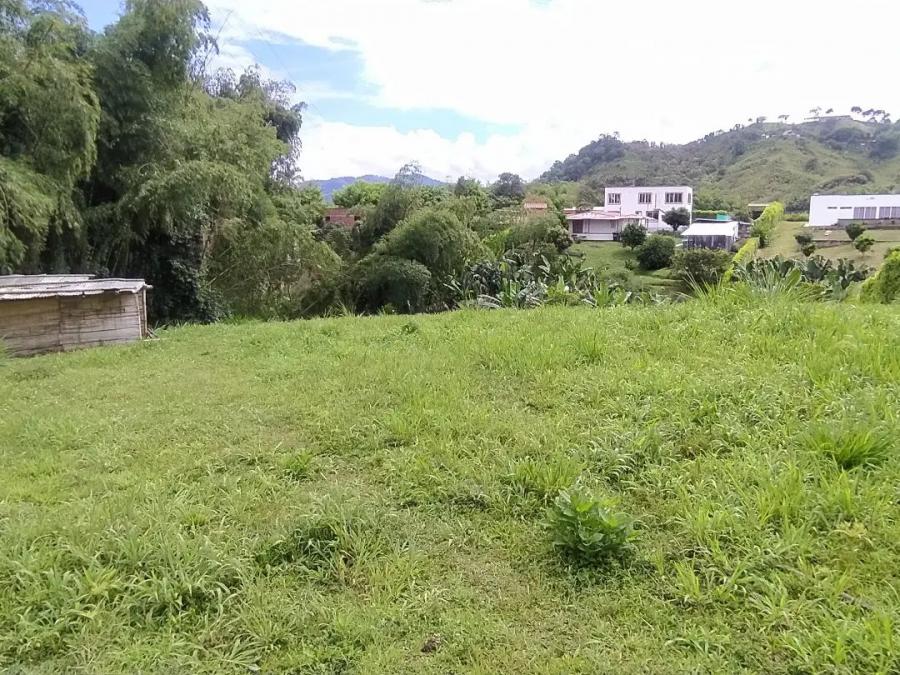 Foto Lote en Venta en Combia, Risaralda - $ 260.000.000 - LOV196262 - BienesOnLine