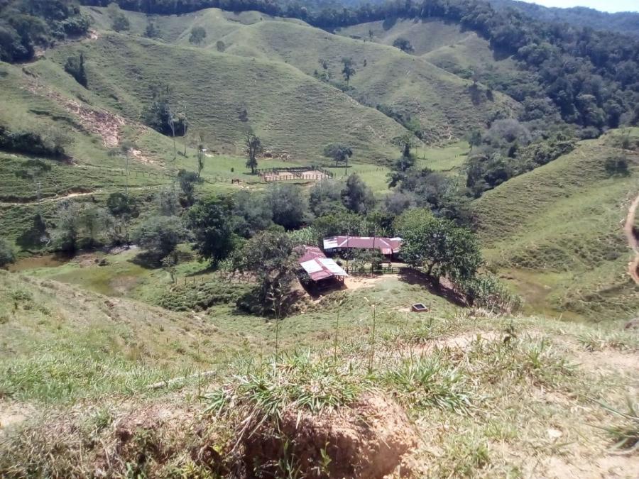 Vendo  600 Hectareas ubicado A 6 km Autopista  Medellin. A 25 minutos de Doradal via Medellin