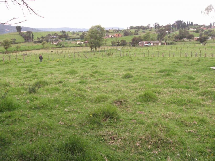 VENPERMUTA LOTE EN COGUA CUNDINAMARCA