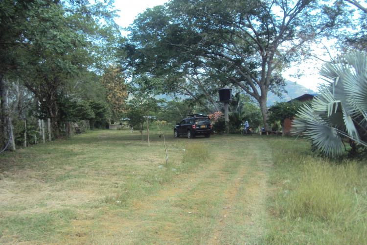 Foto Finca en Venta en chaguala afuera, coello tolima, Tolima - $ 300.000.000 - FIV155248 - BienesOnLine