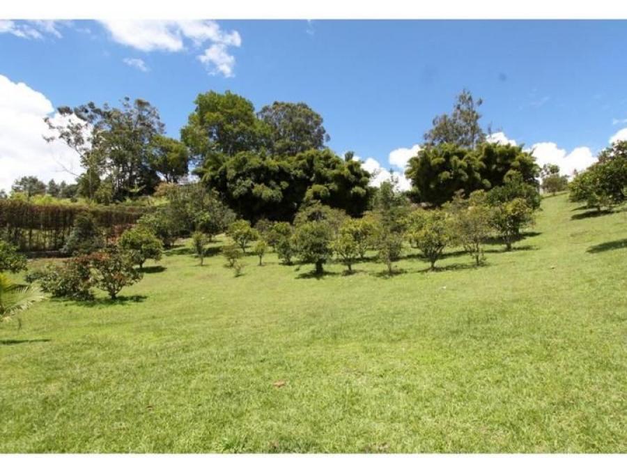 Venta de lote industrial y/o finca de recreo en el municipio de Guarne, Antioquia, Colombia