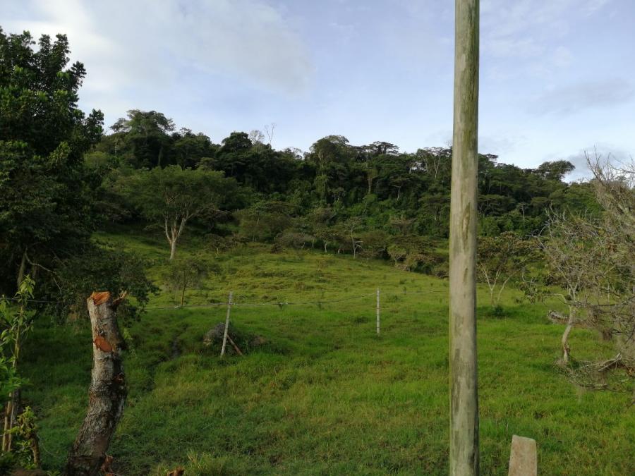 Foto Finca en Venta en Hato, Santander - 37 hectareas - $ 35.000.000 - FIV209057 - BienesOnLine