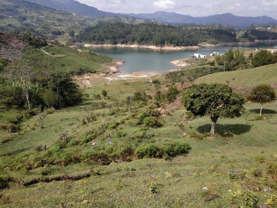Foto Lote en Venta en Guatapé, Antioquia - $ 15.000.000.000 - LOV199584 - BienesOnLine
