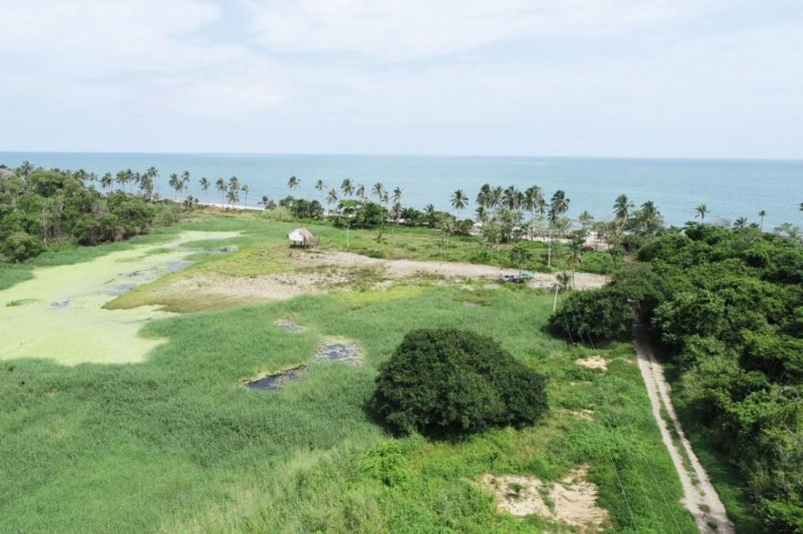 Foto Lote en Venta en Playa, Playa de Palomino, La Guajira, La Guajira - $ 220.000.000 - LOV206593 - BienesOnLine