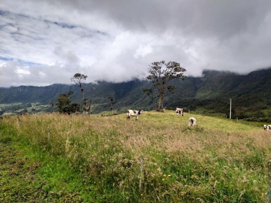 Foto Lote en Venta en Choachi, Cundinamarca, Cundinamarca - $ 850.000.001 - LOV201415 - BienesOnLine