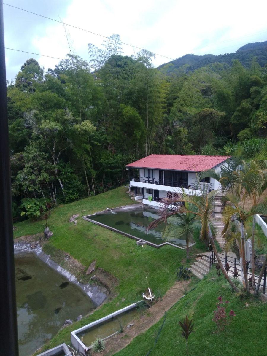 Foto Finca en Venta en Cocorná, Antioquia - $ 2.100.000.000 - FIV208673 - BienesOnLine