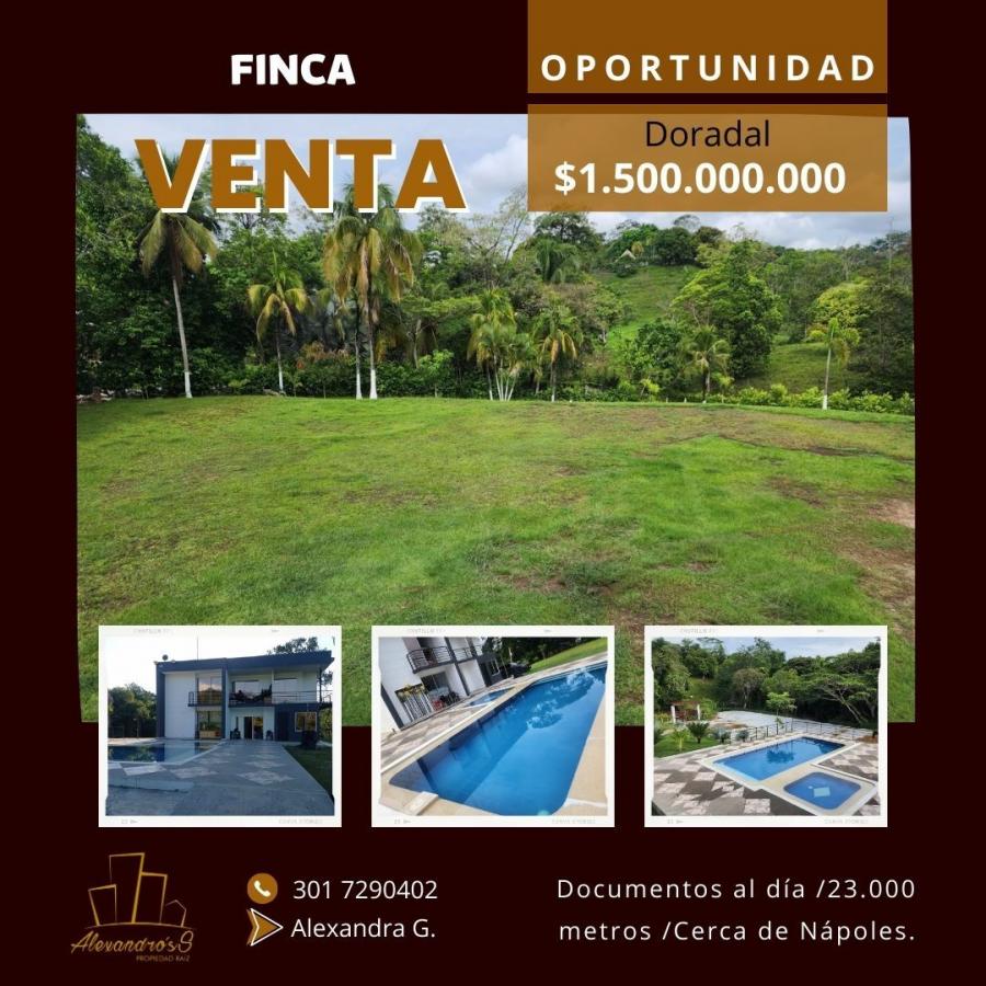 Foto Finca en Venta en Doradal, Doradal, Antioquia - $ 1.500.000.000 - FIV205787 - BienesOnLine