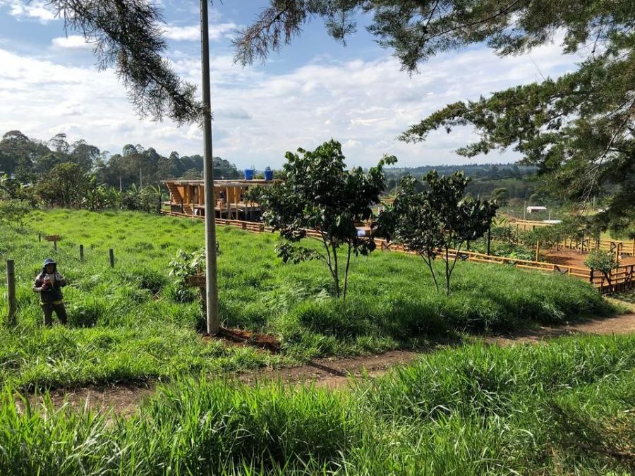 Venta lote En el Cairo - Cajibio (Cauca)