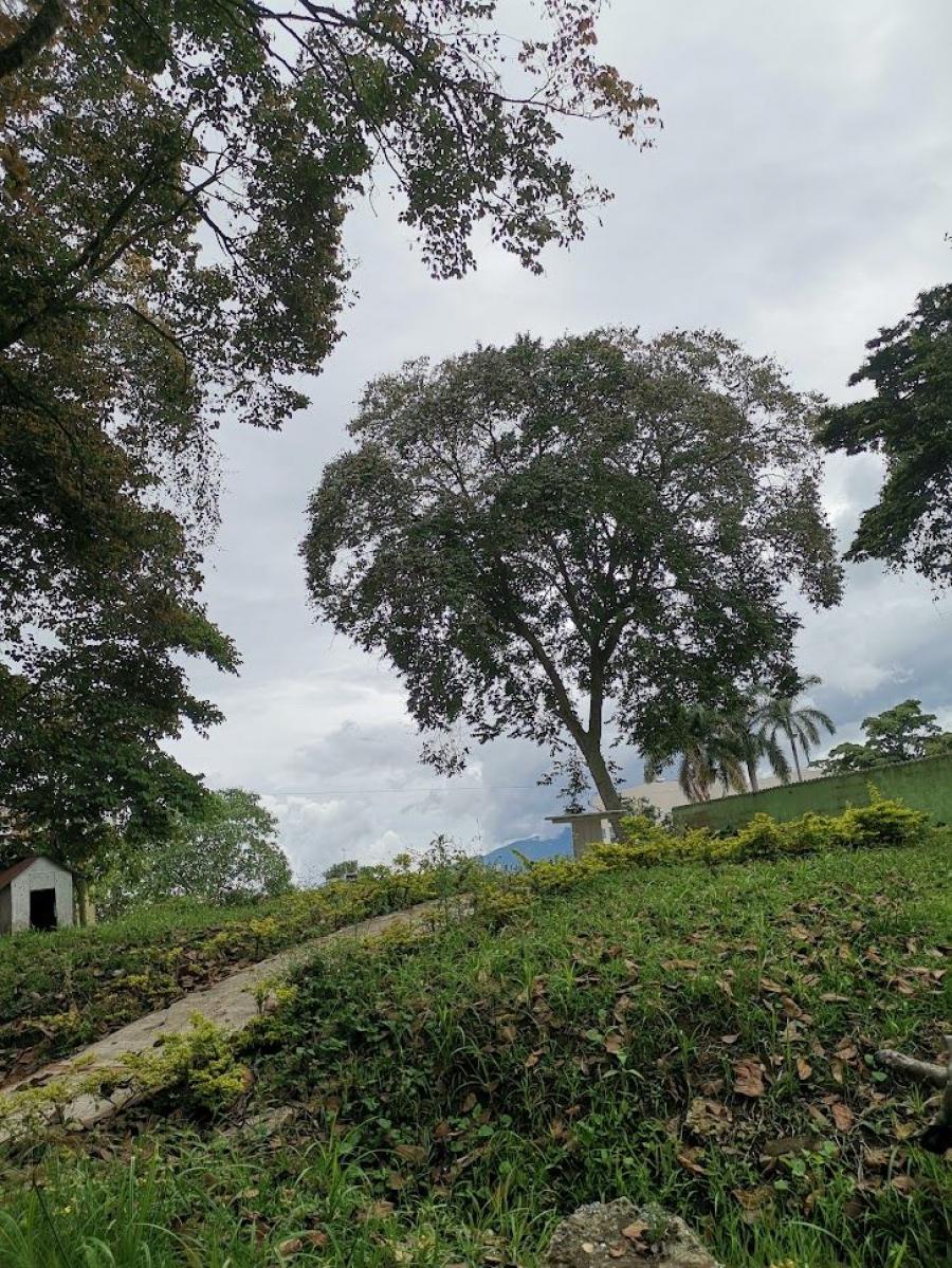 Foto Lote en Venta en fusagasuga, FUSAGASUGA  CUNDINAMARCA COLOMBIA, Cundinamarca - LOV206518 - BienesOnLine