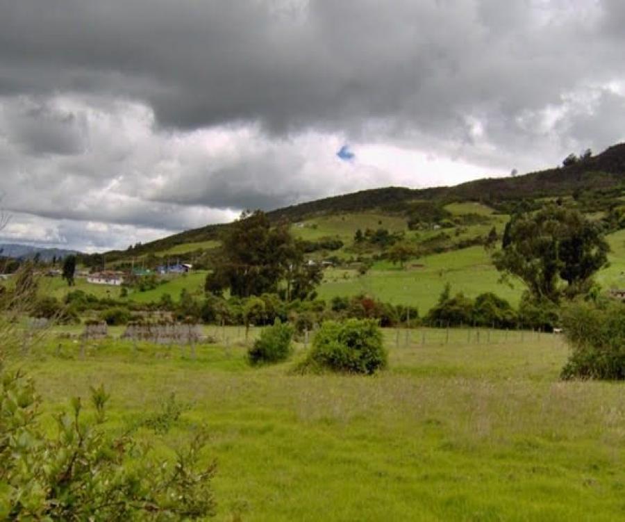 Foto Lote en Venta en Cardonal, Cogua, Cundinamarca - $ 880.000.000 - LOV205790 - BienesOnLine