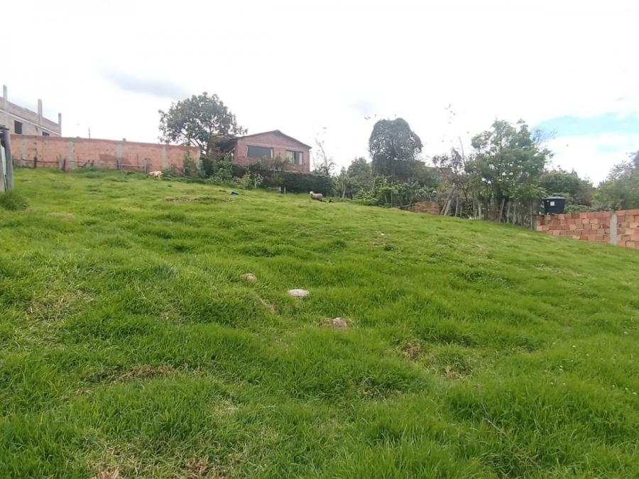 Foto Lote en Venta en Paipa, Boyacá - $ 350.000.000 - LOV195116 - BienesOnLine