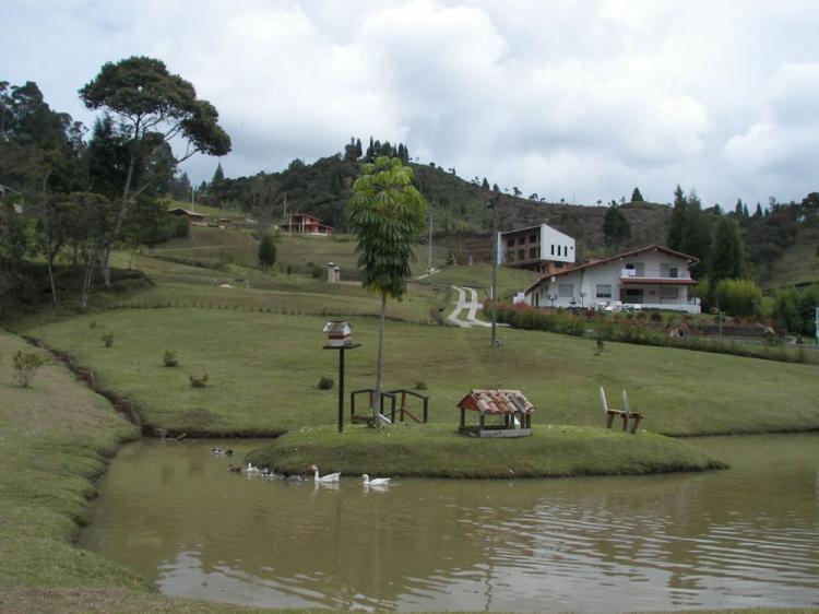 Foto Lote en Venta en Guarne, Antioquia - $ 98.000.000 - LOV14021 - BienesOnLine