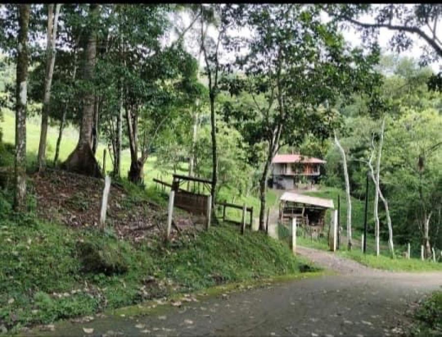 Foto ¡SUEÑO DE VIDA EN VENTA! ENCANTADORA PROPIEDAD Y CASA DE CAMPO EN PURISCAL, SAN JOSÉ