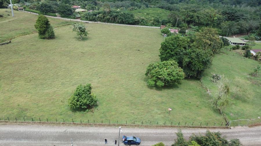 Foto SE VENDE LOTE SARAPIQUÍ HEREDIA