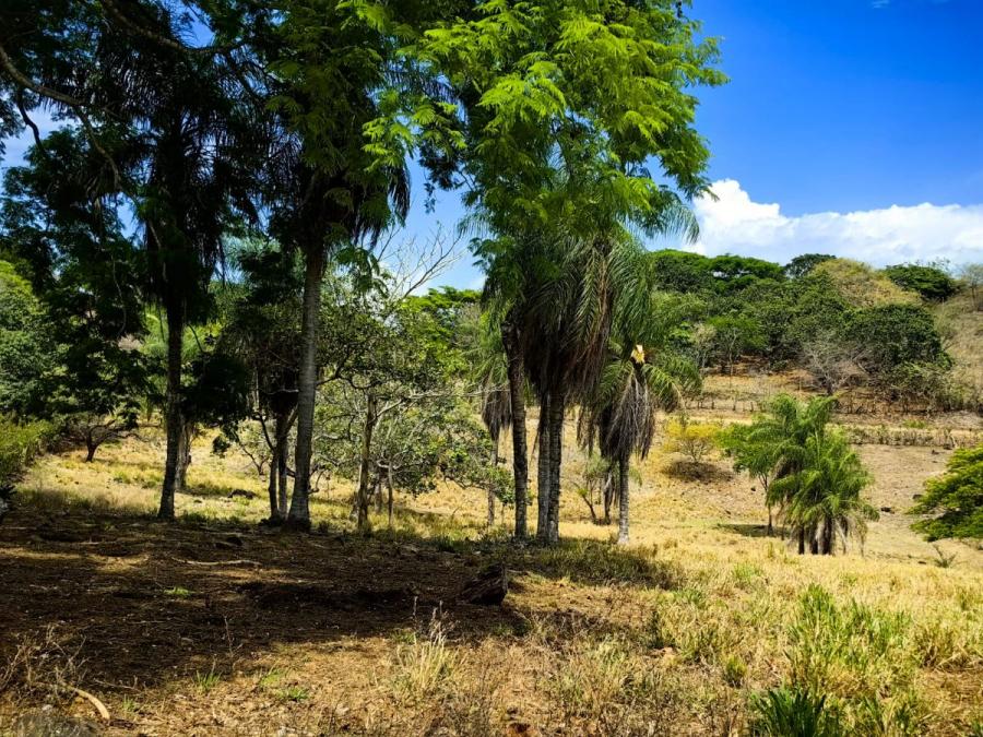 Foto Finca en Venta en Lagunillas, Garabito, Puntarenas - U$D 400.000 - FIV119217 - BienesOnLine