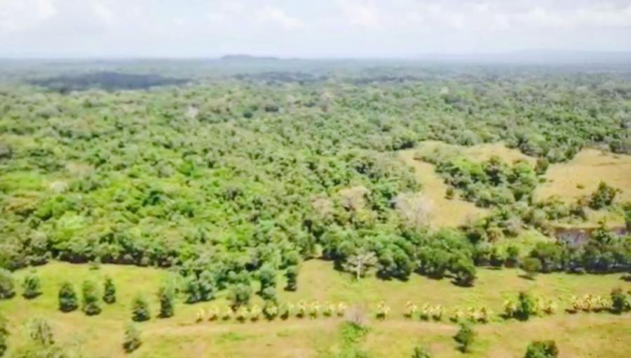 Foto Finca en Venta en LAS PAVAS, SARAPIQUÍ, Heredia, Heredia - 1000 hectareas - U$D 1.350.000 - FIV128465 - BienesOnLine