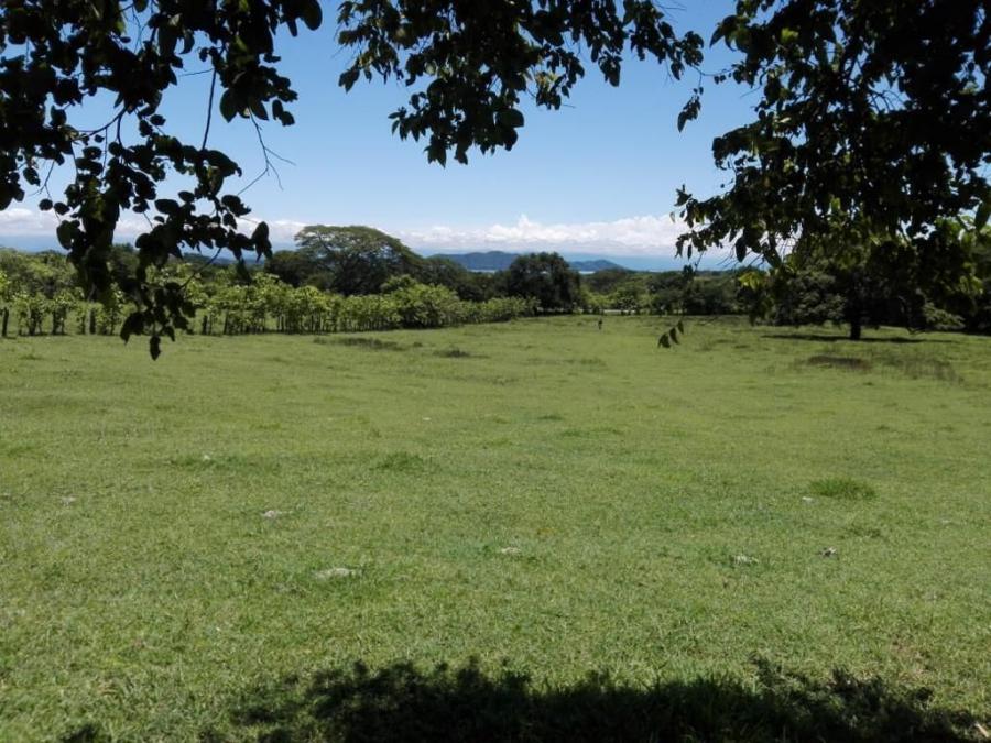 Foto Finca en Venta en Lepanto, Puntarenas, Puntarenas - U$D 600.000 - FIV132858 - BienesOnLine