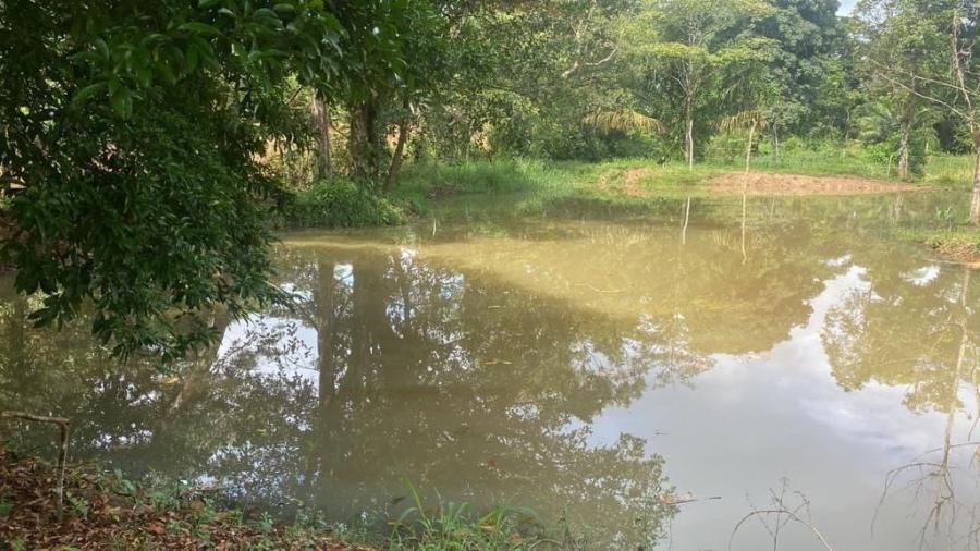 Foto ¡Oportunidad Única! Espectacular Finca en Caño Negro, Los Chiles, Alajuela