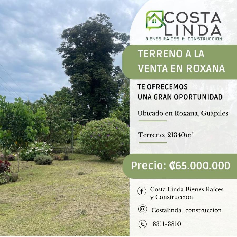 Foto Terreno en Venta en Roxana, Guápiles, Limón - ¢ 65.000.000 - TEV118818 - BienesOnLine