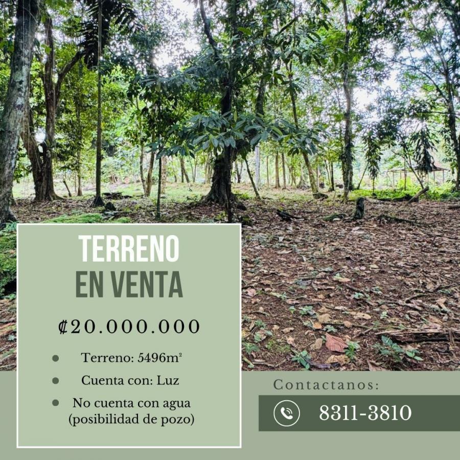 Foto Terreno en Venta en Guápiles, Guápiles, Limón - ¢ 20.000.000 - TEV118832 - BienesOnLine