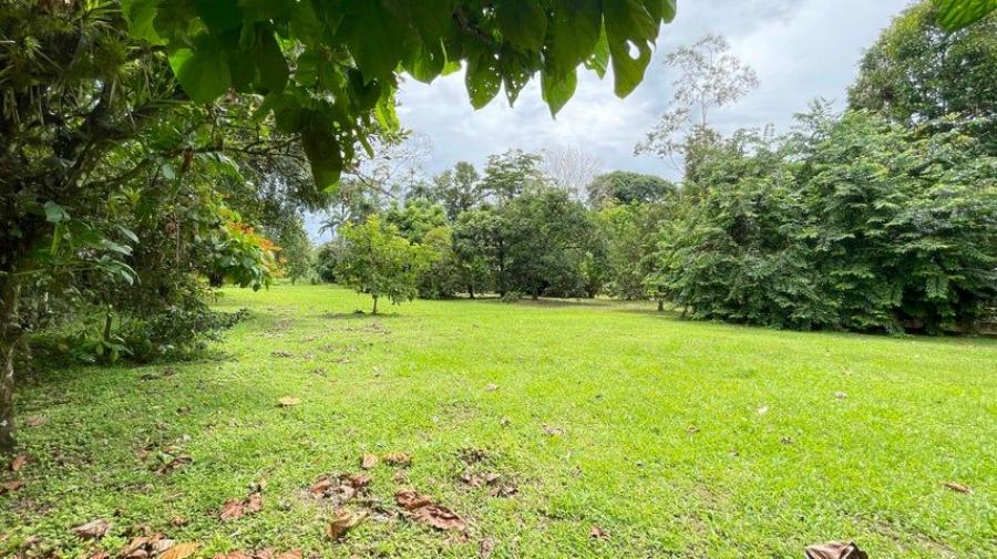 Foto Terreno en Venta en Guápiles, Limón - ¢ 39.500.000 - TEV118937 - BienesOnLine