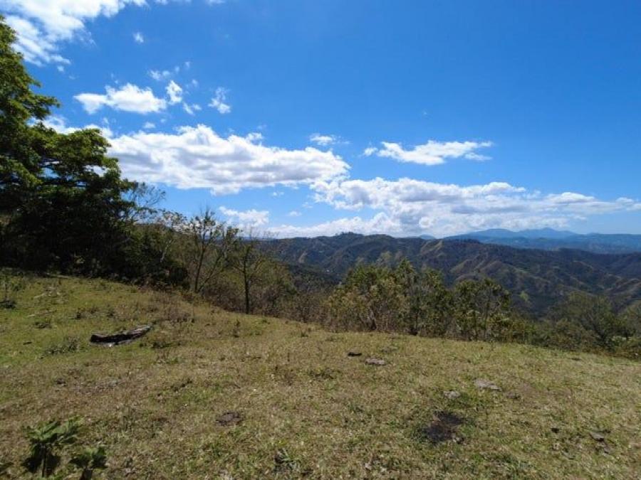 Foto Terreno en Venta en Mora, San José - U$D 2.165.120 - TEV119072 - BienesOnLine