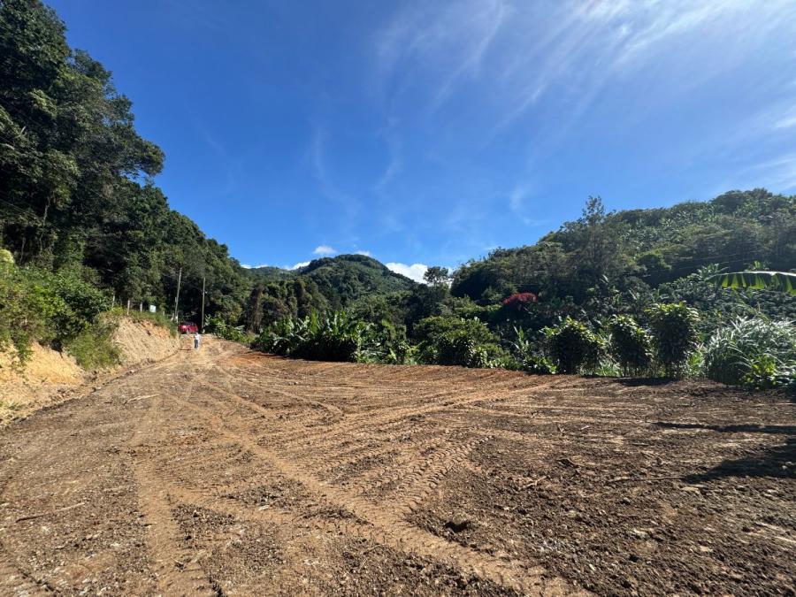 Foto Terreno en Venta en Corralillo, Cartago, Cartago - &cent; 30.000.000 - TEV119831 - BienesOnLine