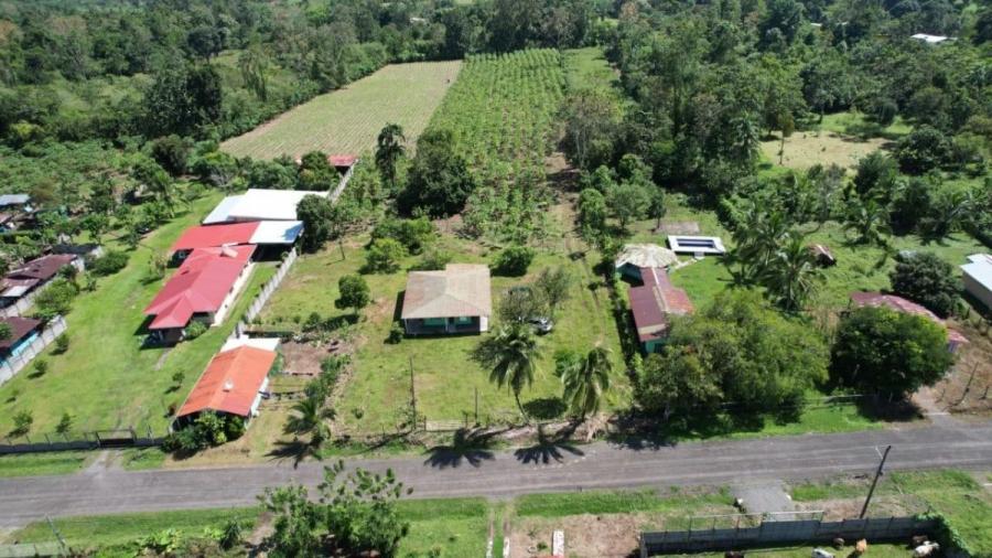 Foto Terreno en Venta en Guácimo, Limón - &cent; 98.000.000 - TEV120034 - BienesOnLine